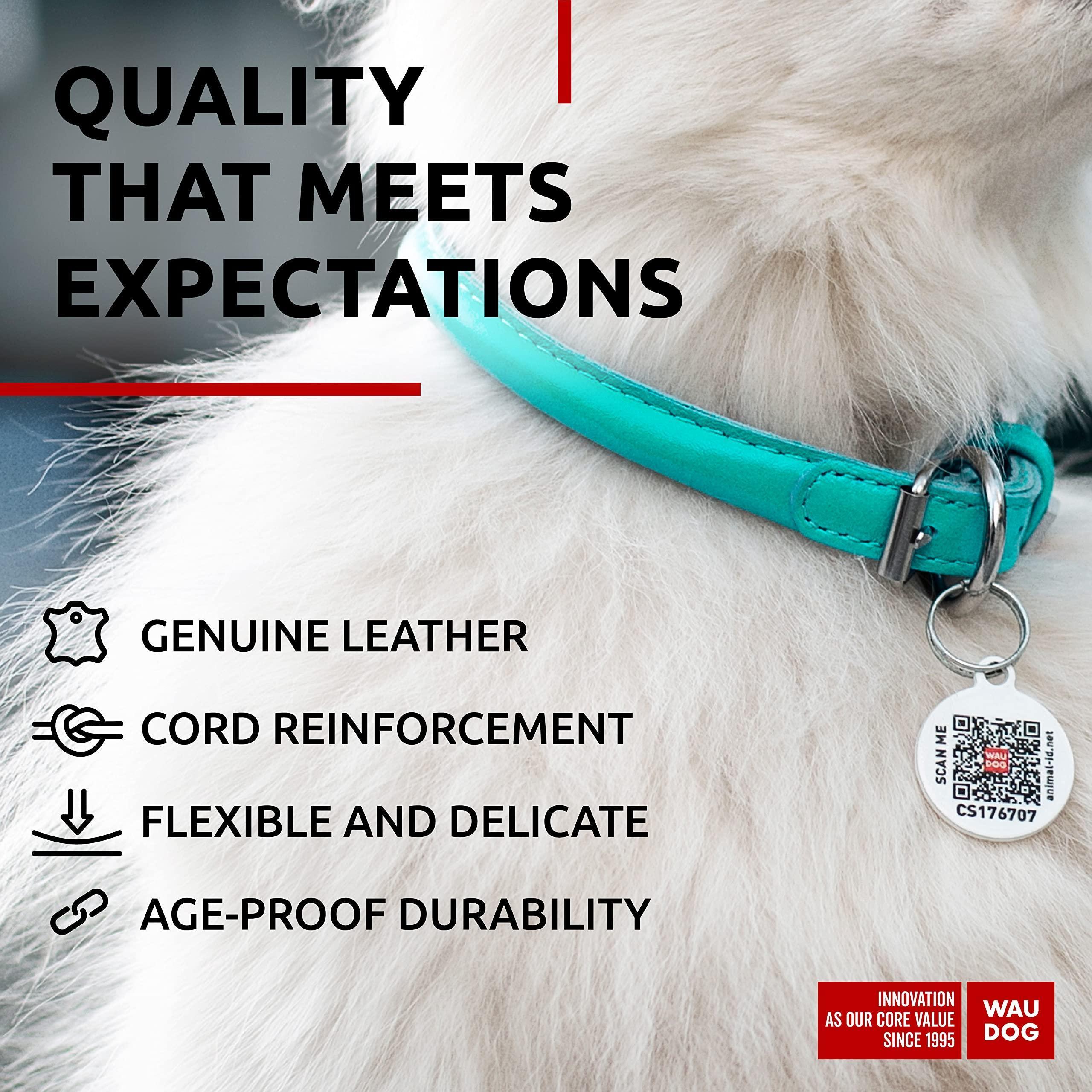 Ultra Soft Rolled Leather Dog Collar for Small Dogs 10 - 13 Inch Neck Mint Color