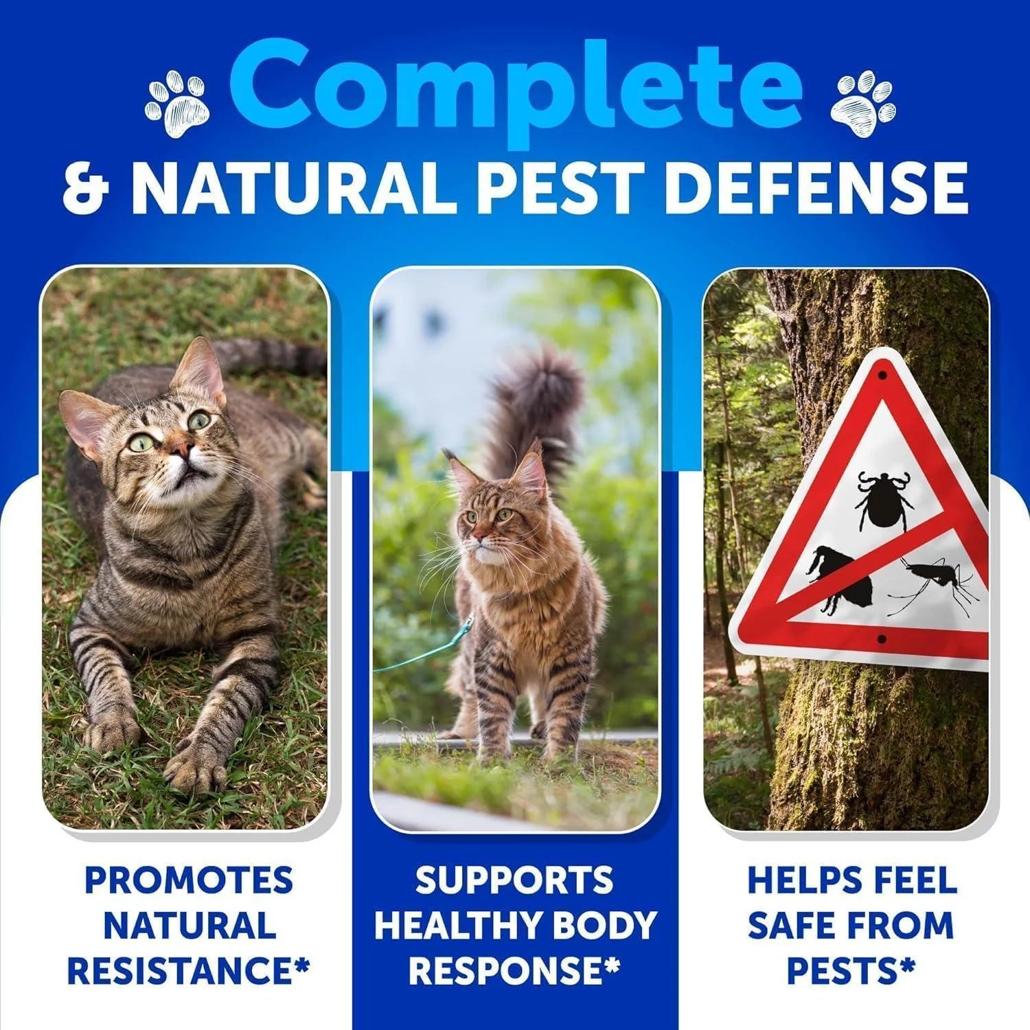 Flea Treatment for Cats Natural Flea and Tick Prevention Supplement for Cats Kittens Chewable Daily Oral Pills with Vitamins 135 Soft Chews Skin & Coat Dental Treats Digestion Made in USA