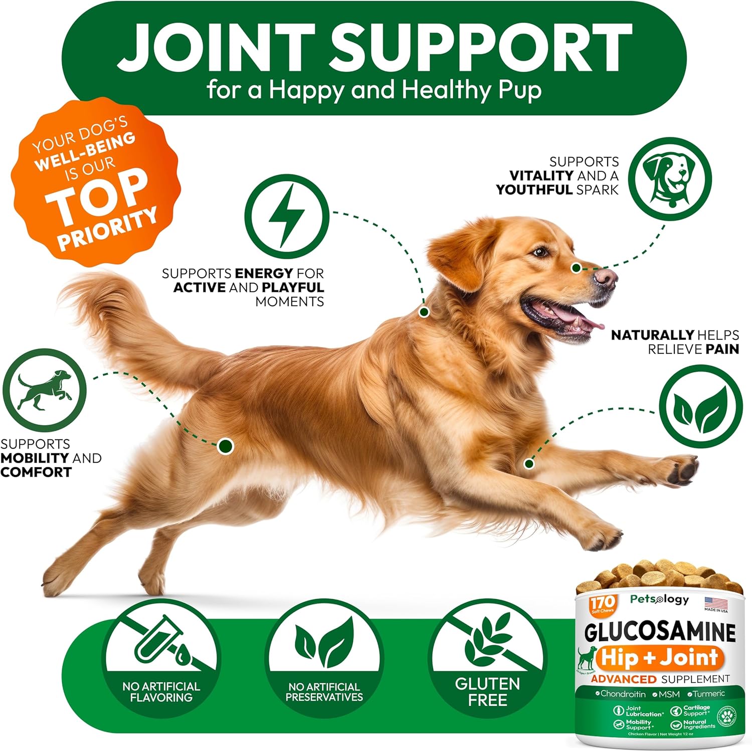 Glucosamine Hip & Joint Support Chews for Dogs – Mobility Booster Supplement | 170 Soft Chews | Joint Health, Flexibility & Pain Relief