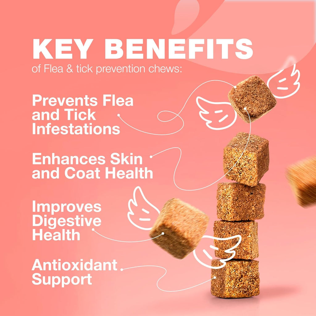 Flea & Tick Support Chews for Cats – Salmon Flavor | Natural Flea Prevention & Daily Immune Support