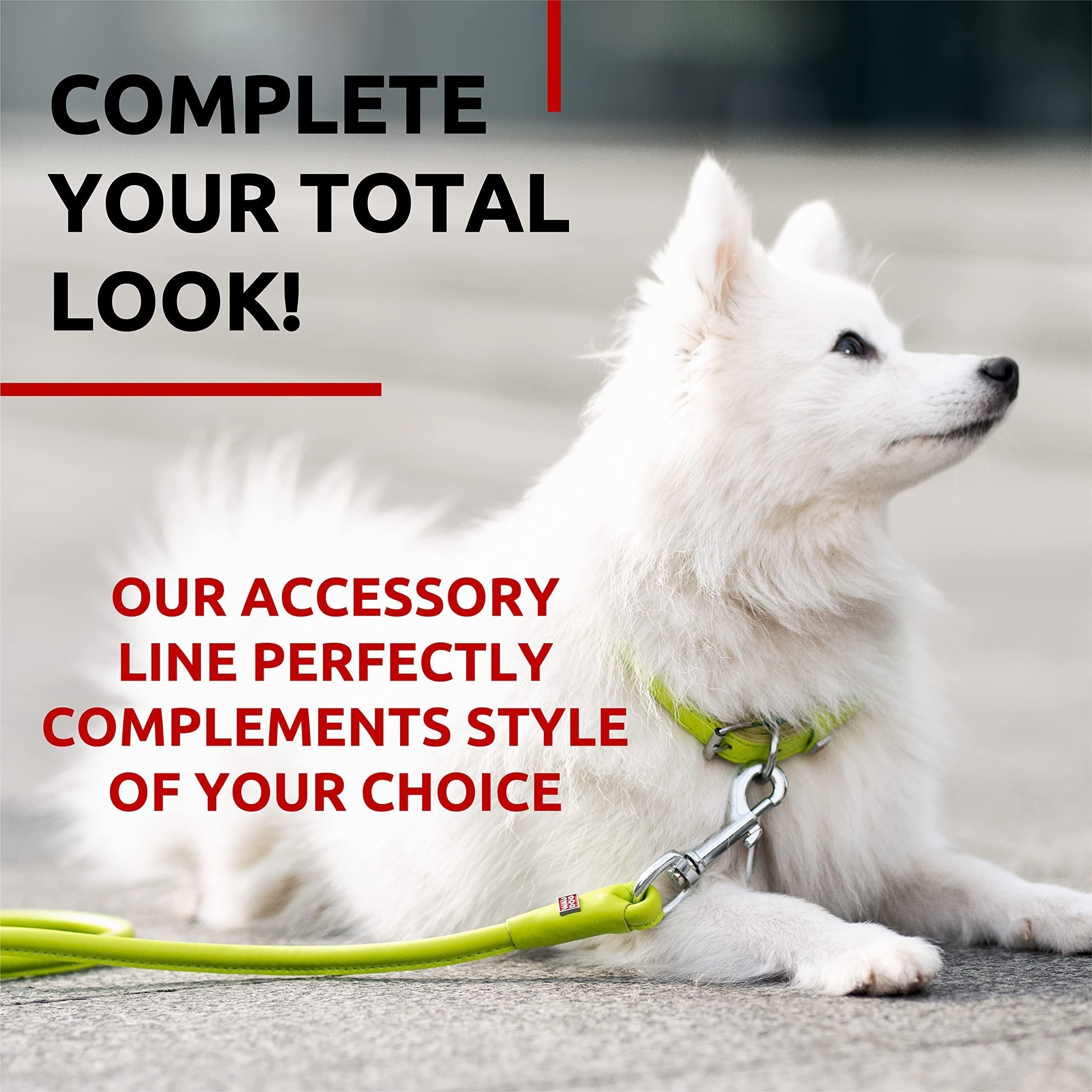 WAUDOG Rolled Leather Dog Leash 4Ft * 0.3 in for Small Medium and Large Dogs Heavy Duty Leather Puppy Leash for Outdoor Walking Running Training Strong Dog Leashes for Large Breed Dogs (Green)