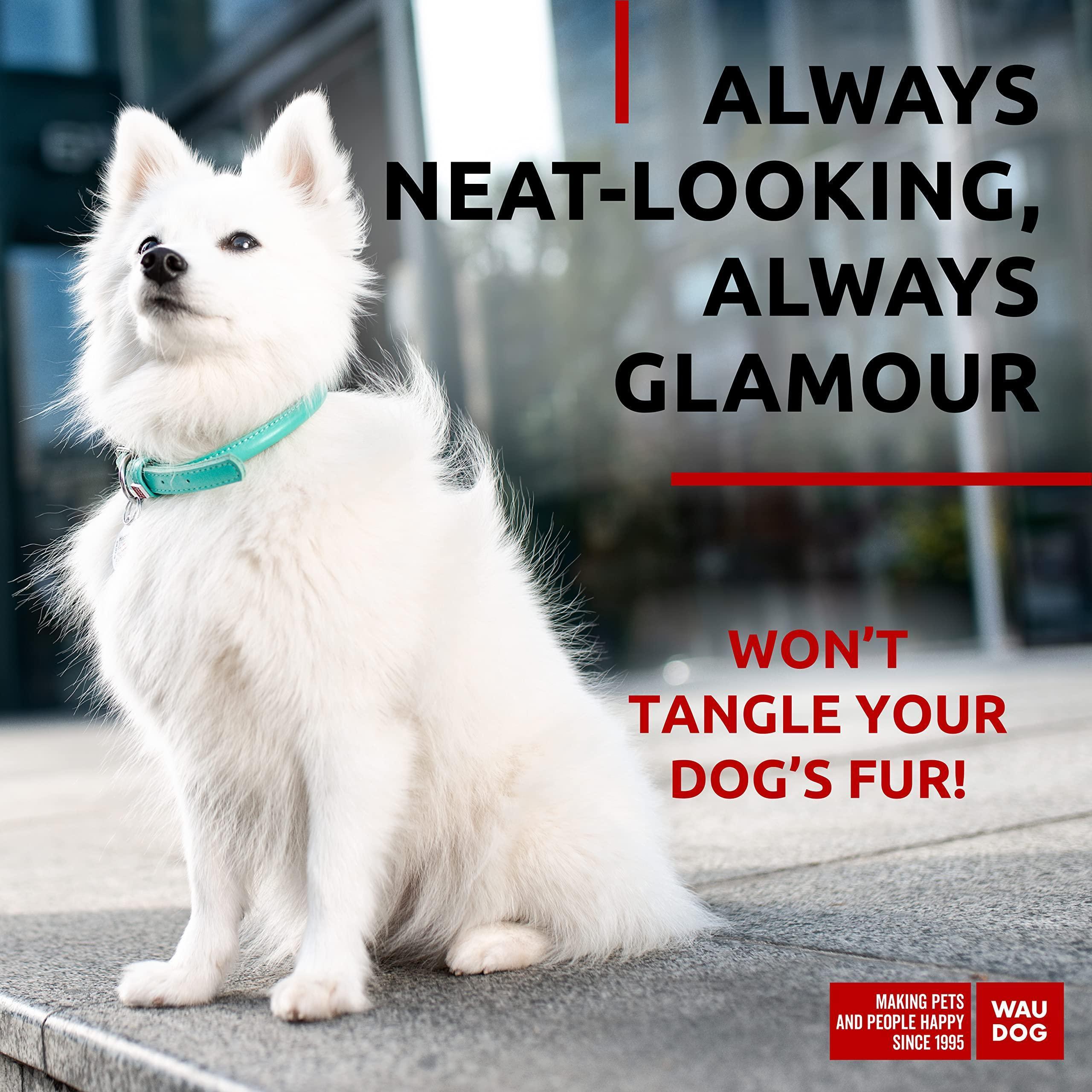 Ultra Soft Rolled Leather Dog Collar for Small Dogs 10 - 13 Inch Neck Mint Color