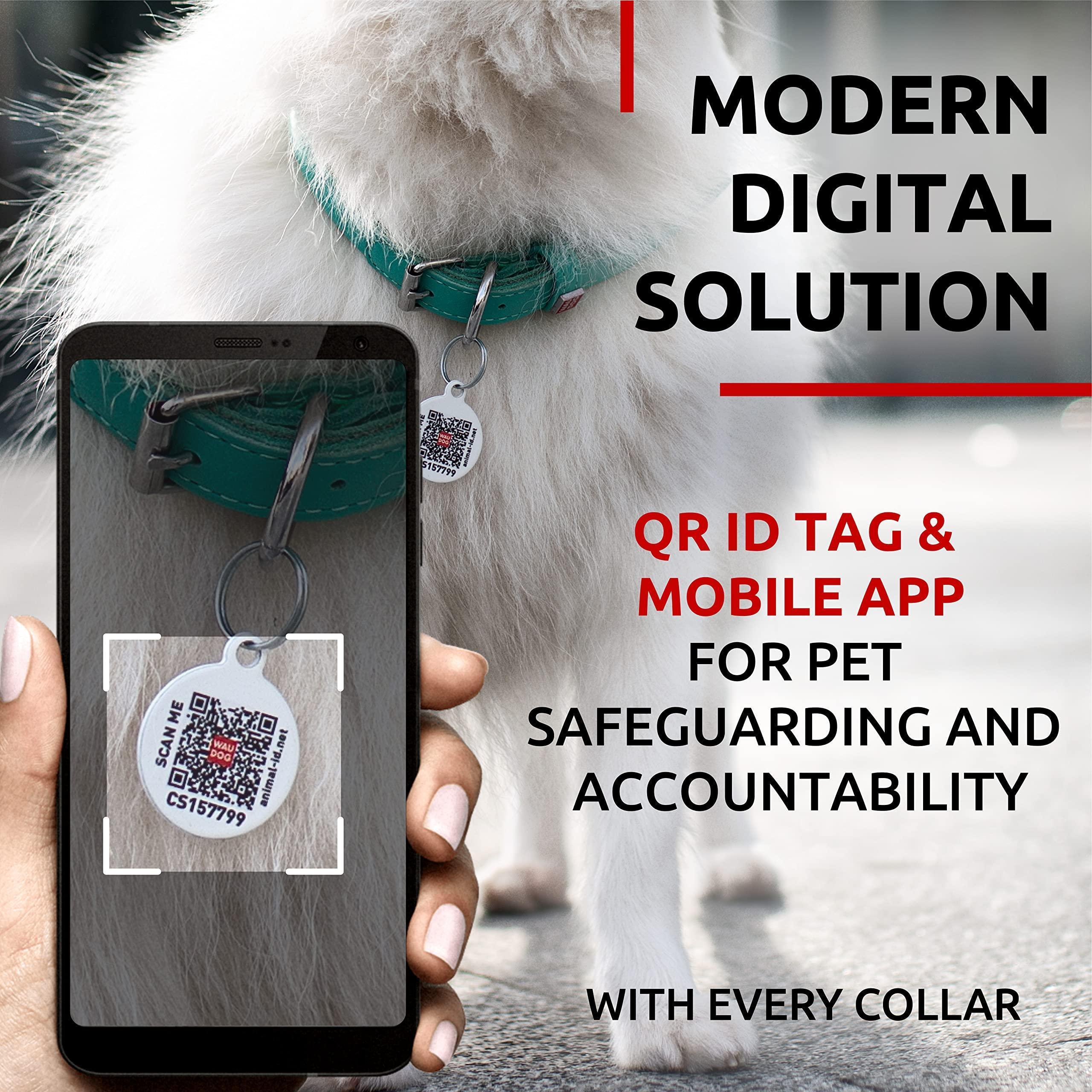 Ultra Soft Rolled Leather Dog Collar for Small Dogs 10 - 13 Inch Neck Mint Color