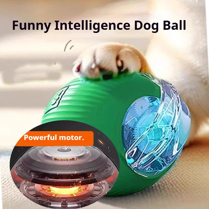 Smart Interactive Dog Ball Toy Rechargeable, Automatic Rolling Fun Ball for Dogs & Puppies