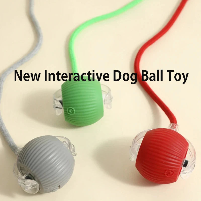 Smart Interactive Dog Ball Toy Rechargeable, Automatic Rolling Fun Ball for Dogs & Puppies