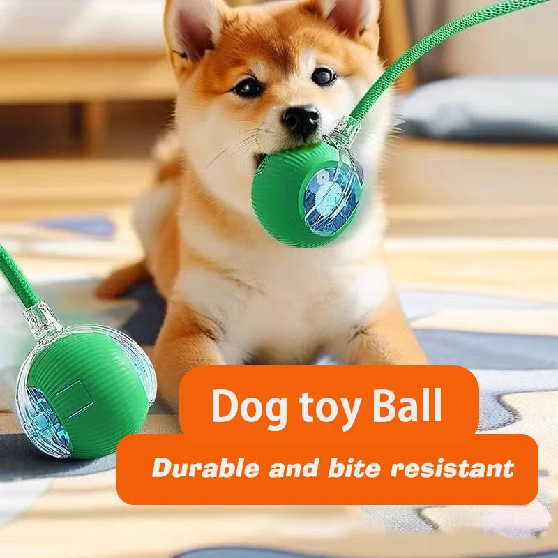 Smart Interactive Dog Ball Toy Rechargeable, Automatic Rolling Fun Ball for Dogs & Puppies