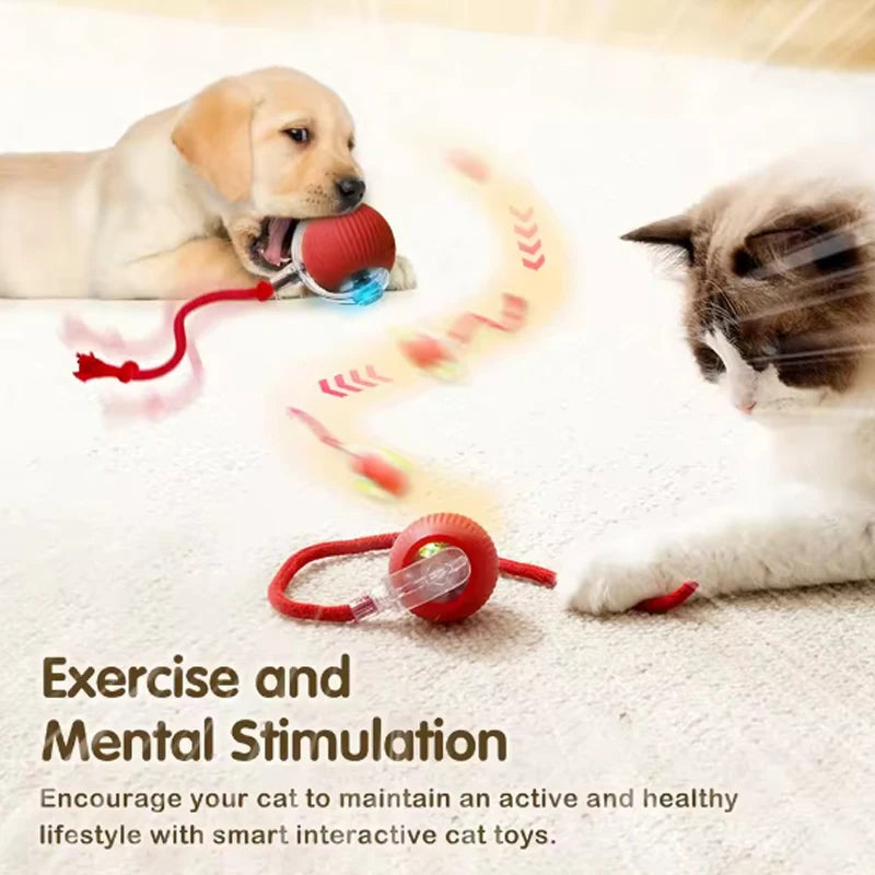 Trendora Pet Smart Rolling Cat Ball – Interactive Automatic Toy for Boredom Relief & Mental Stimulation